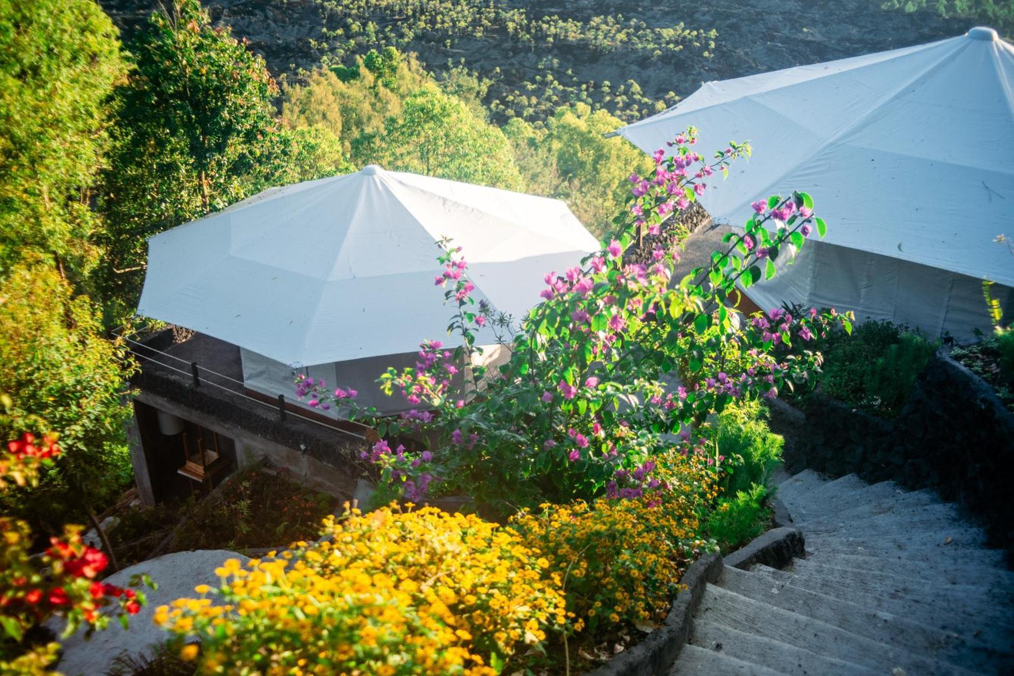 Luxury tent Alam Caldera Camp & Resto Kubupenlokan